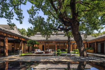 Courtyard with an ancient tree at the Mandarin Oriental Qianmen, Beijing