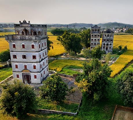 Kaiping Diaolou watchtowers among rice fields at dusk
