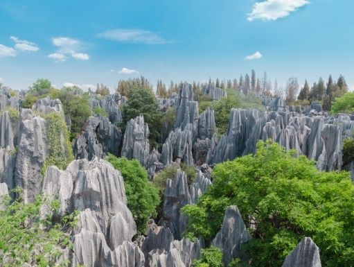 Limestone pinnacles of the Shilin Stone Forest